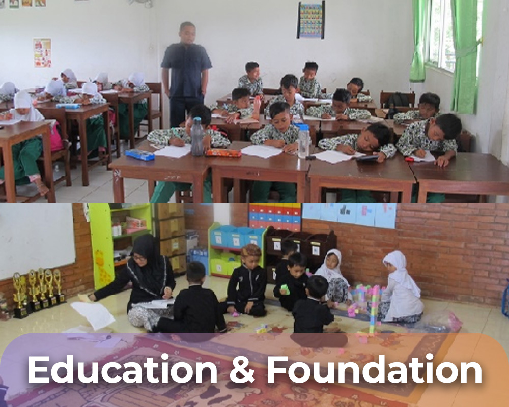 Education & Foundation